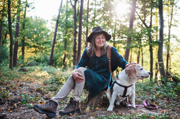 istock A senior woman with dog on a walk outdoors in forest, resting. 1206792977