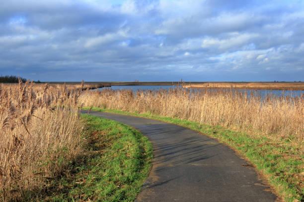 istock Oostvaardersplassen, Netherlands 1206794983