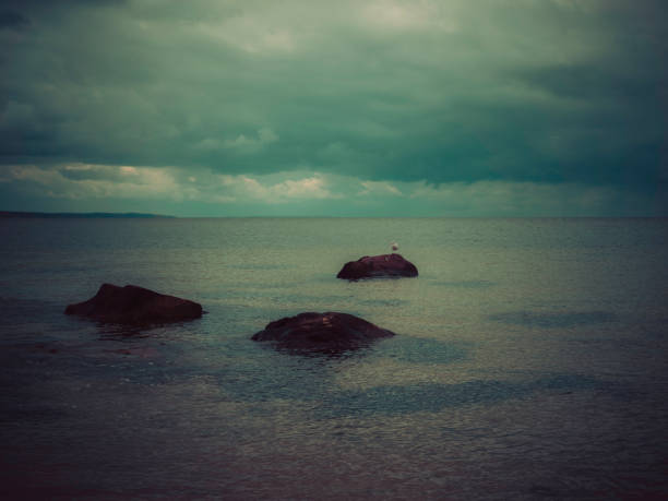 a seagull sits on the most distant rock, out of focus
