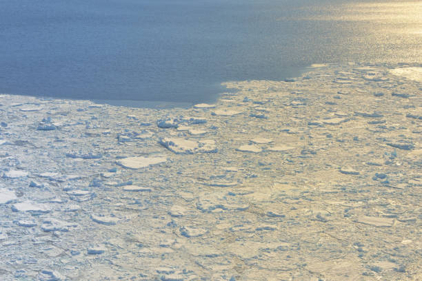 istock Landscape in Greenland from Above. Global warming 1206795768
