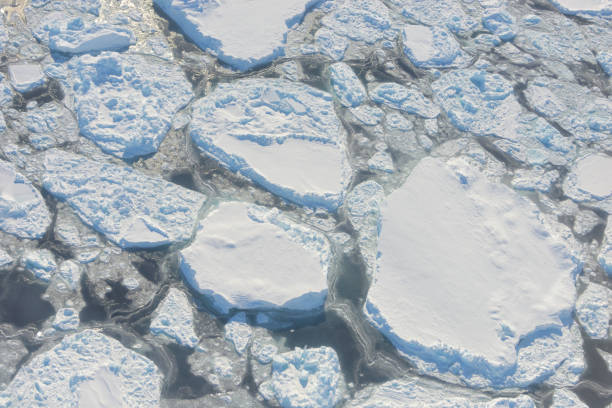 istock Landscape in Greenland from Above. Global warming 1206795788