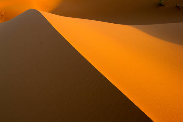 istock Sand dunes with lines and shadow in Sahara Desert 1206797252