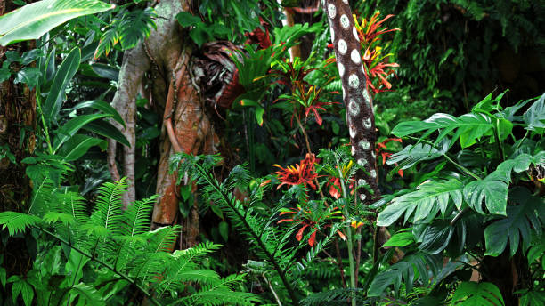 istock Lush and colorful tropical jungle landscape 1206797807