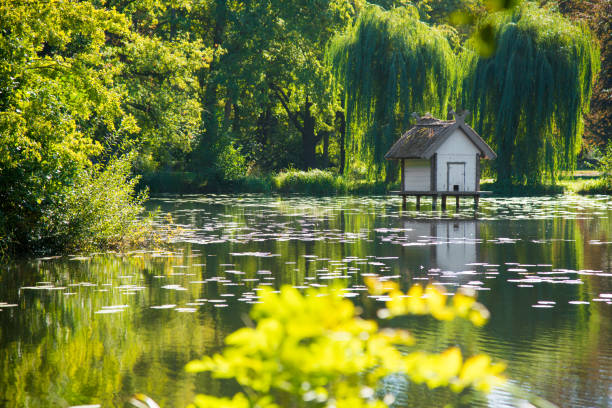 pequeña cabaña en el agua - casa de pato en un paisaje de parque - forest pond landscaped water fotografías e imágenes de stock