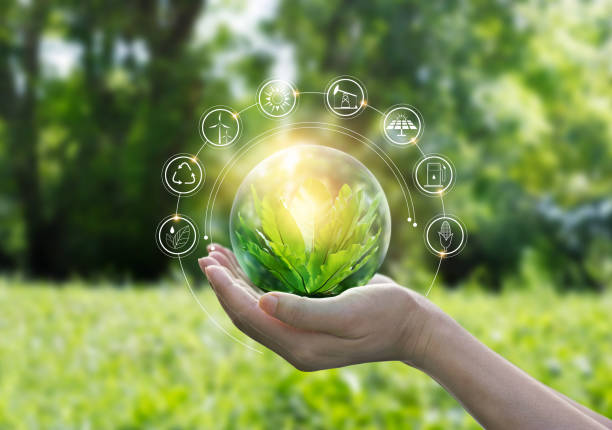 manos que protegen el globo de árbol verde sobre el fondo de verano de la naturaleza tropical, el concepto de ecología y medio ambiente - recycled bulb fotografías e imágenes de stock