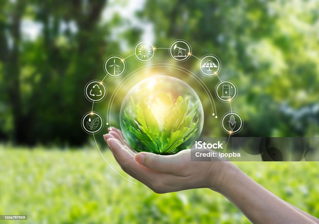 Hands protecting globe of green tree on tropical nature summer background, Ecology and Environment concept Environment Stock Photo