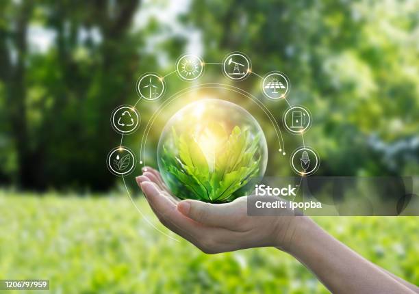 Hands Protecting Globe Of Green Tree On Tropical Nature Summer Background Ecology And Environment Concept Stock Photo - Download Image Now