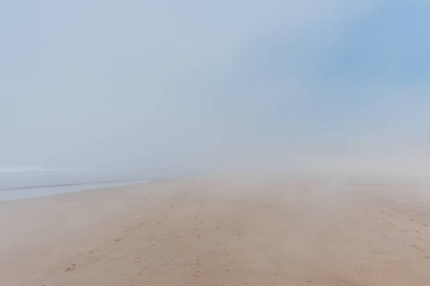 istock Empty wide sandy ocean beach in fog 1206799107