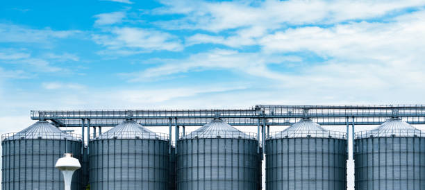 silo agrícola na fábrica de moinhos de ração. tanque grande para armazenar grãos na fabricação de ração. torre de estoque de sementes para produção de ração animal. alimentação comercial para indústrias pecuária, suína e de peixes. - steel mill - fotografias e filmes do acervo