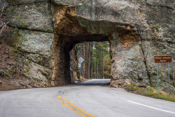 Scovel Johnson Tunnel in Black Hills National Forest, South Dakota A large passageway along the Iron Mountain Road of the forest black hills national forest stock pictures, royalty-free photos & images
