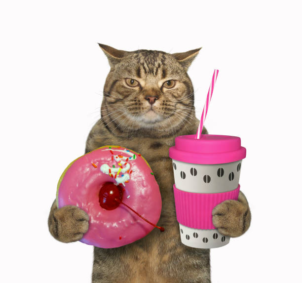 istock Cat with pink cup of coffee 2 1206800921