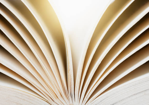 istock Close-up of open pages of brightly lit book 1206802252