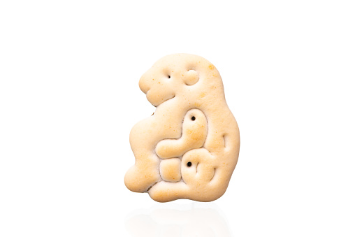 cookies in the form of funny animals, good fun for children