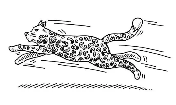 Vector illustration of Jumping Big Cat Cartoon Drawing