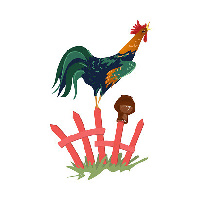 Cute colorful farm rooster stay on wood fence