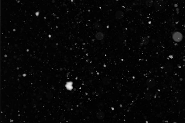 istock Snow. Dust bokeh on a black background 1206808083
