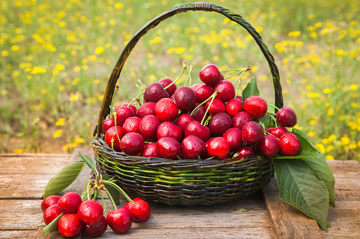 Cherries in a basket on wood table with copy space and green background