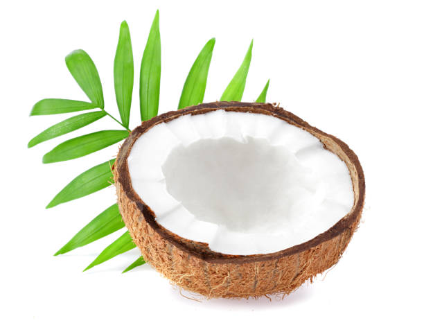 istock Coconut with green leaves isolated on white background 1206810646