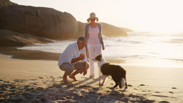 istock Do you want us to play a fun game? 1206815391
