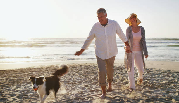 istock Their dog loves the beach too 1206815412