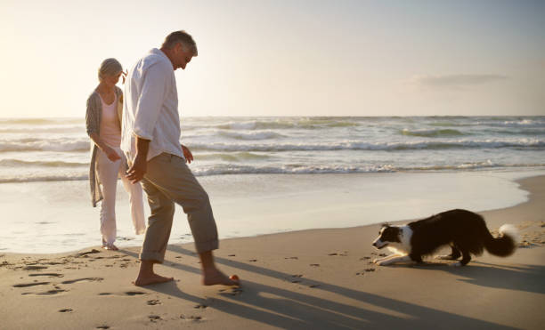 istock Fun time with their best friend 1206815418