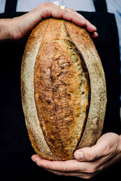 istock Baker proudly holding a loaf of sourdough bread. 1206816538