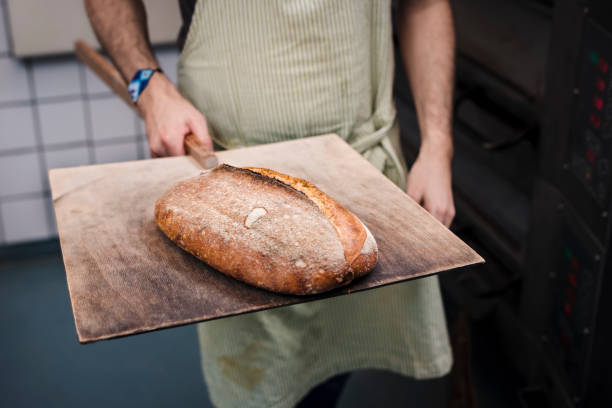 istock Freshly baked loaf of sourdough bread. 1206816883