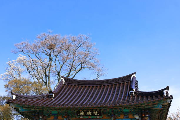 istock Hanok, roof, tile, wood, 1206817807