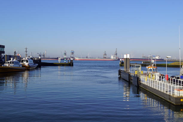 istock at the ferry terminal in Hoek van Holland 1206818933