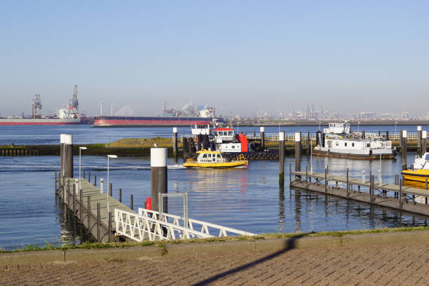 istock at the ferry terminal in Hoek van Holland 1206819146
