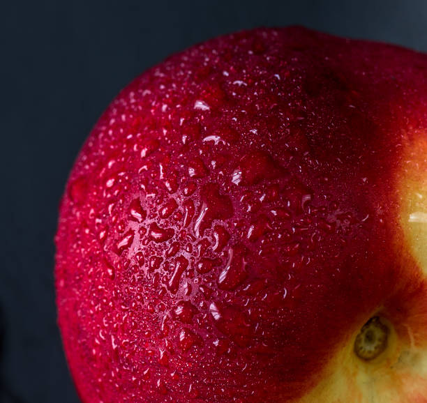 Nectarine fruit isolated on wet black background. Health concept.