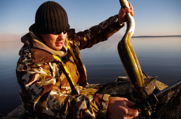 Fishing tackles and fishing baits in box .Classic Colored Fishing Lure , Beautiful Background digital image.Fishing on the lake at sunset. Fishing background