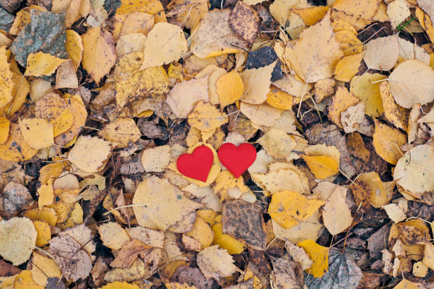 istock Love or friendship concept 1206820695