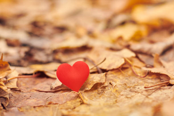 istock Infatuation, one-sided romantic love concept 1206820745