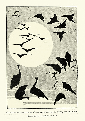 Vintage engraving of Japanese art, Wild geese flying before the moon, Art of Japan. Esquisses de cordeaux et d'oies sauvages sur la lune