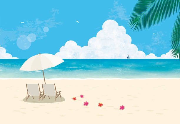 illustrations, cliparts, dessins animés et icônes de plage et palmier de lune de miel - romance travel backgrounds beaches holidays and celebrations