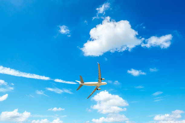 istock High-altitude airplane and beautiful sky in spring 1206824430