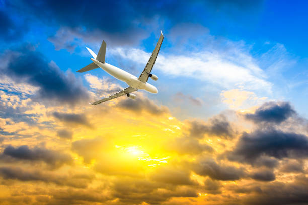 istock High-altitude airplane and beautiful sky at dusk 1206824494