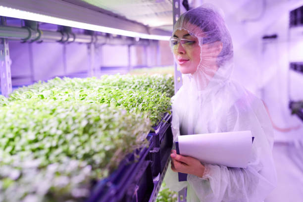istock Woman at Industrial Plantation 1206825310