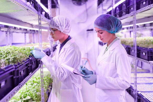 istock Two Workers at Agricultural Plantation 1206825451