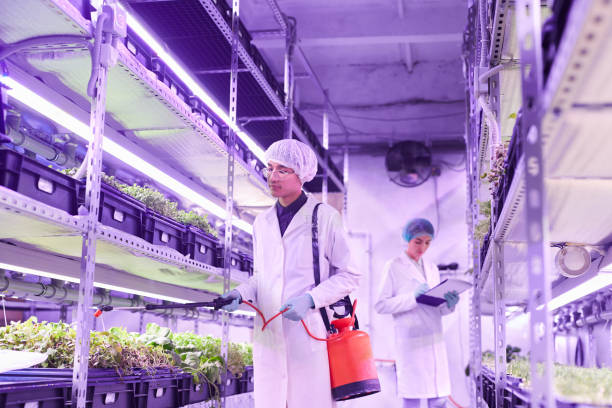 istock Workers at Agricultural Plantation 1206825476