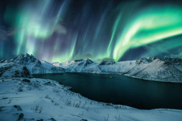 istock Segla peak on Senja island with Aurora Borealis, Northern Lights in winter 1206826316