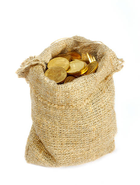 istock Bag with gold coins 120682658