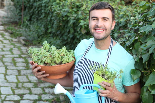 istock Man transplanting some succulent plants 1206831923