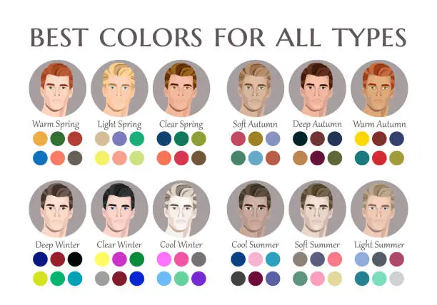 Vector illustration of Seasonal color analysis palette for all types of male appearance. Best colors for 12 types. Face of young man