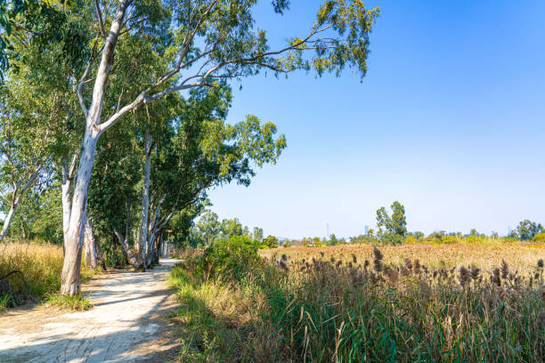 Nam Sang Wai Wetland
