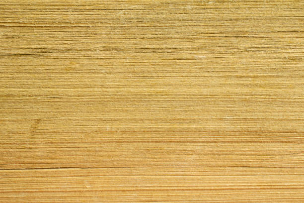 istock Pages of old, vintage book, loseup front view texture 1206835550