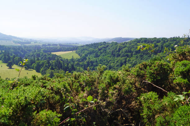istock Landscape by the Dryburgh Abbey 1206836383
