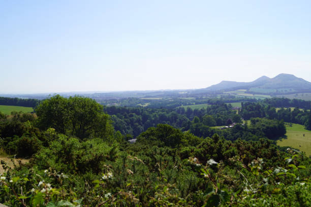 istock Landscape by the Dryburgh Abbey 1206836389