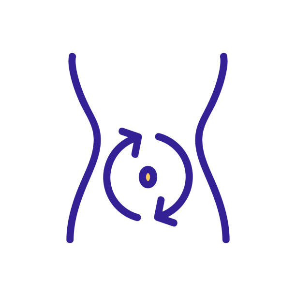 illustrazioni stock, clip art, cartoni animati e icone di tendenza di vettore icona stomaco. illustrazione del simbolo del contorno isolato - alimentary